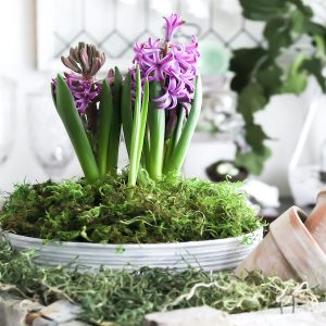 Spring Planter Workshop