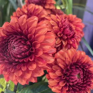 Costings, Confidence, and Profit Margins